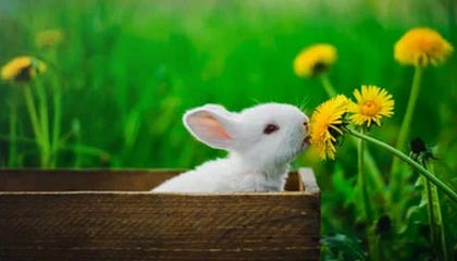 开云正规网址-复仇步行者新秀成关键 普理查德或成绿军版卡鲁索